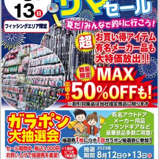 『アクアウェーブ ハフーア 3.5インチ